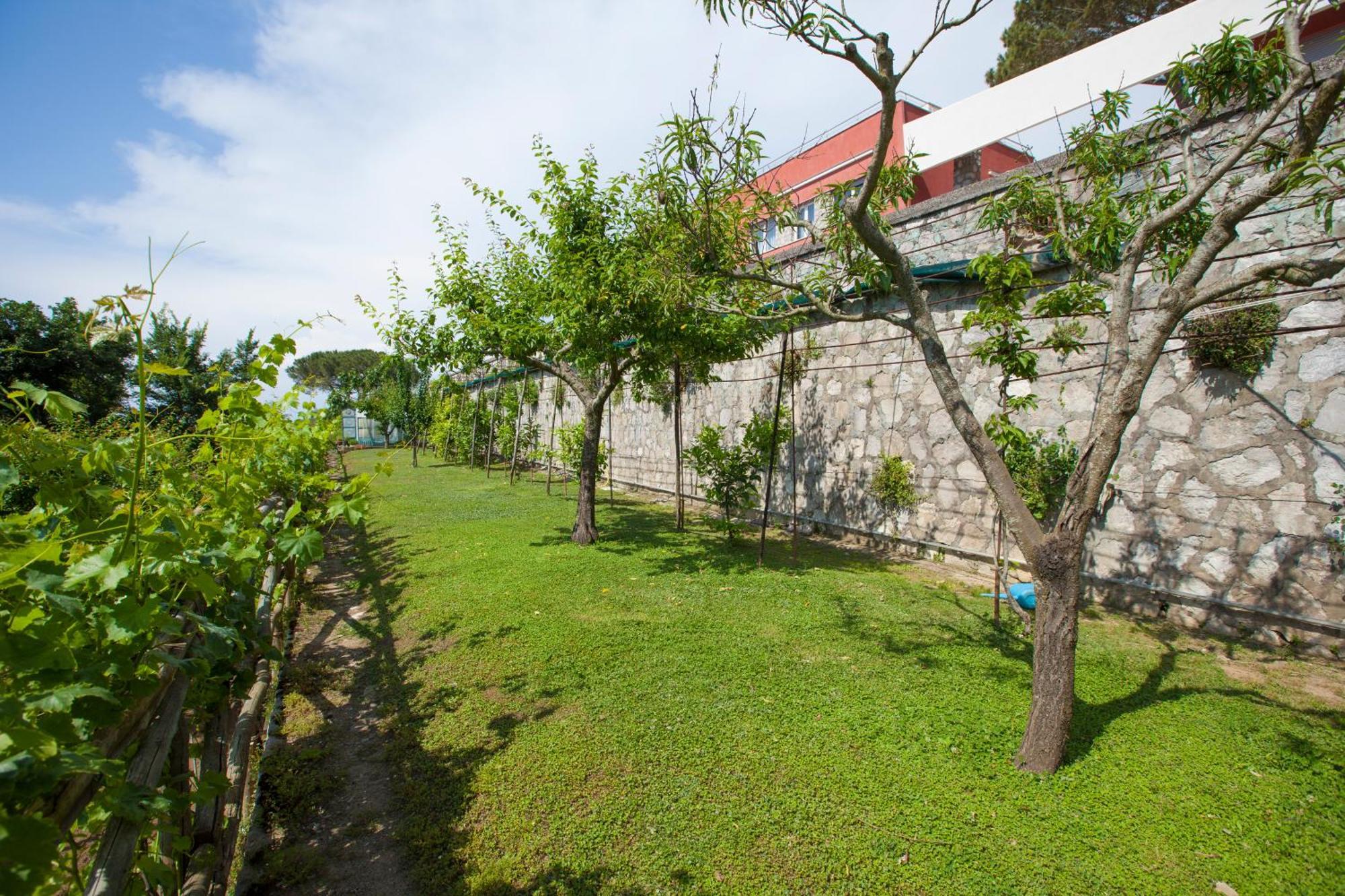 Villa Mambrini Sorrento Dış mekan fotoğraf